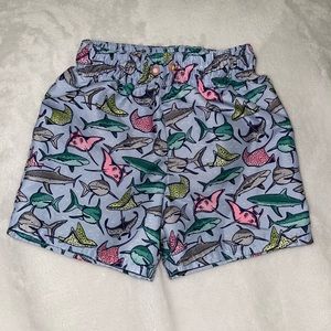 Cat & Jack 2T Swim Shorts